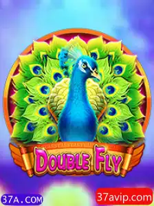 Descubra o Empolgante Mundo de DoubleFly: Um Guia Completo